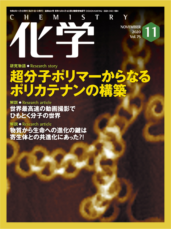 「化学」2020年11月号（化学同人）