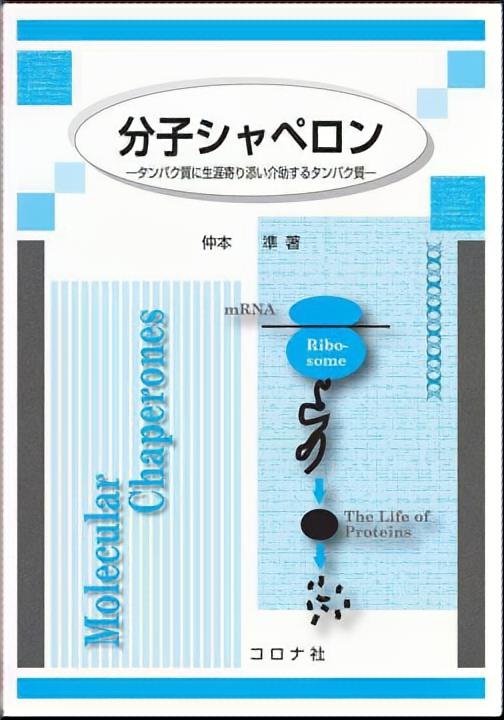 分子シャペロン - タンパク質に生涯寄り添い介助するタンパク質 -